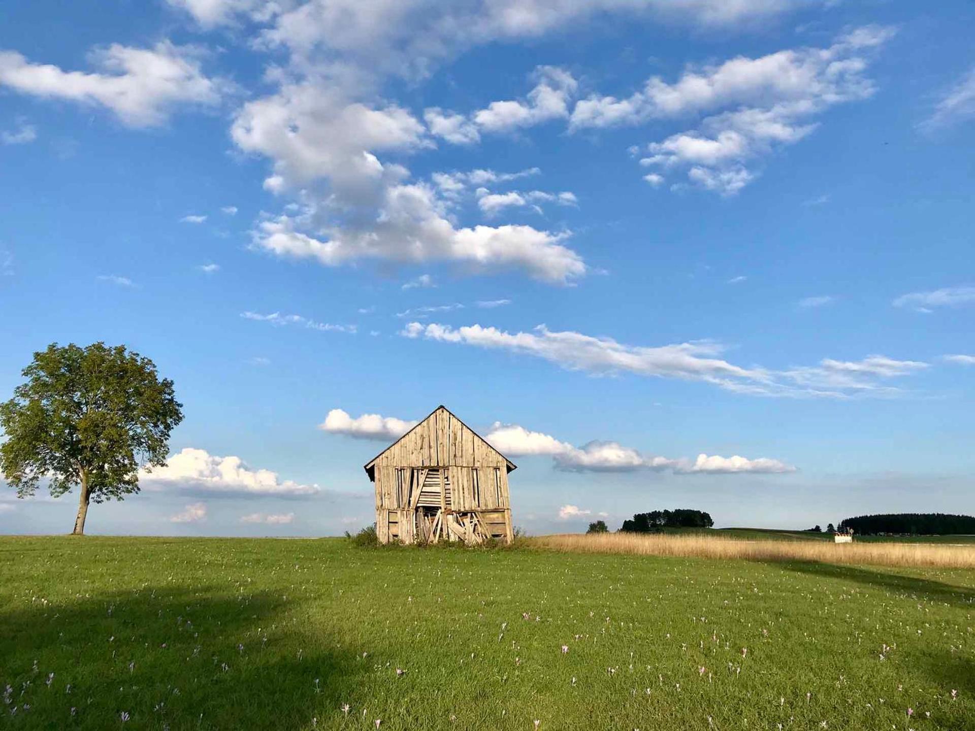 Gaestehaus Roessle Rötenbach Exteriör bild